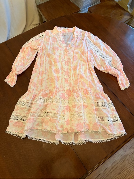 Miss June Paris Dresses & Skirts - Miss June Paris Light Pink & White Floral Eyelet Long Sleeve Dress